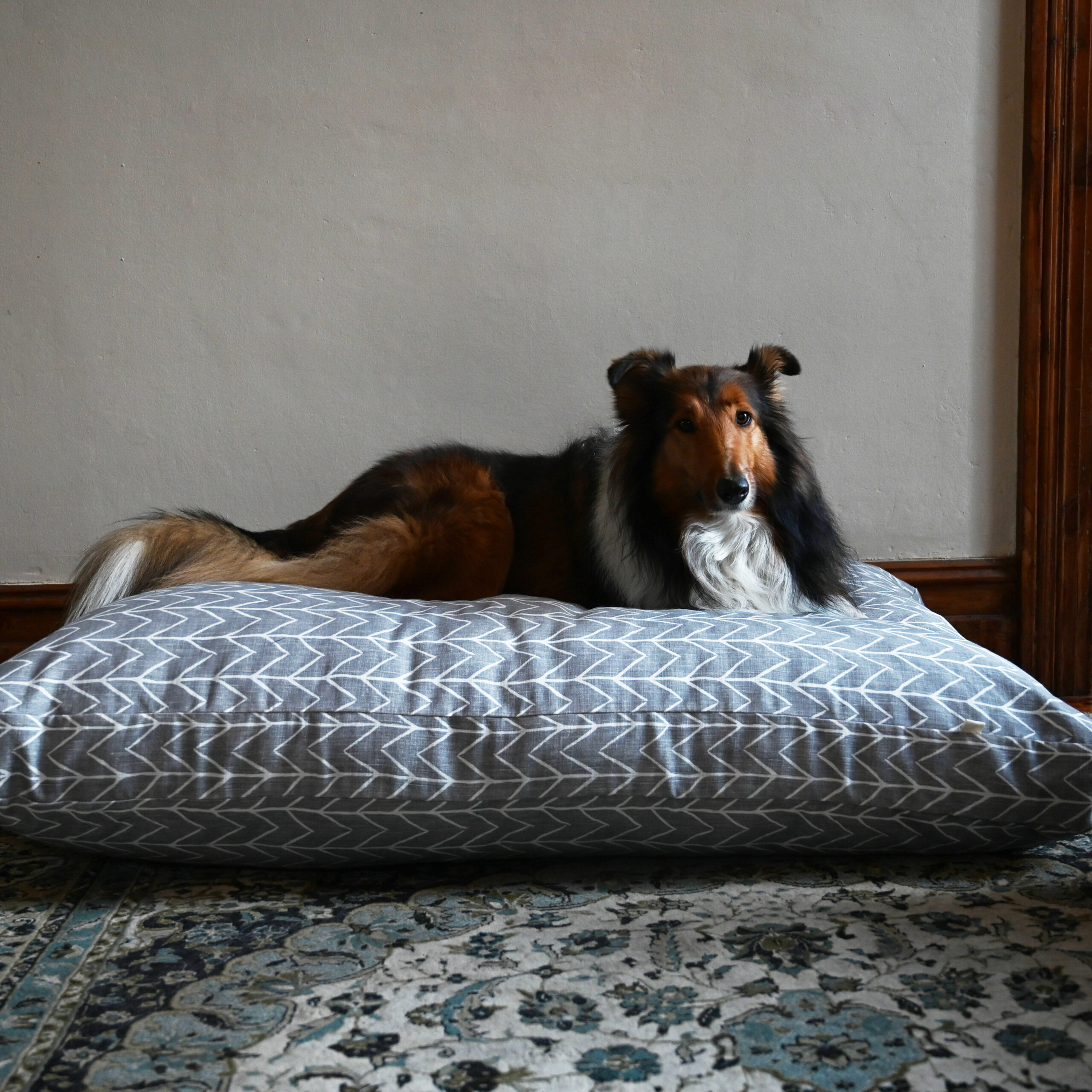 Featured image for “Cape Winter Bed<br>Extra Large”