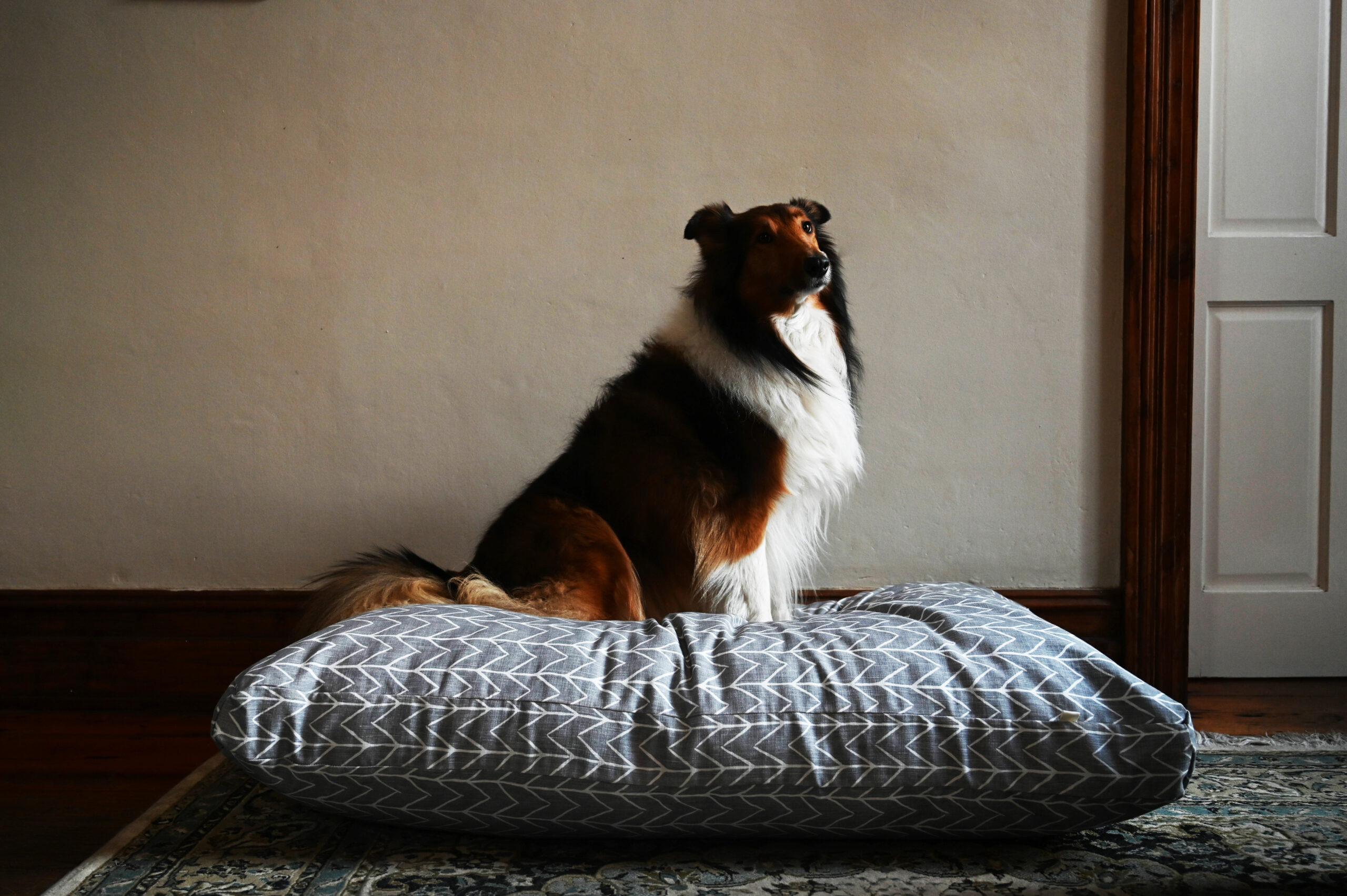 Cape Winter Bed<br>Extra Large - Image 10